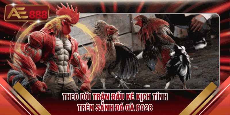Theo dõi những trận đấu kê kịch tính trên sảnh đá gà Ga28